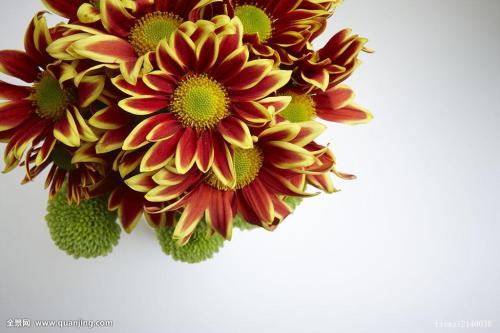 永4.2Ԫ㽭һҽթƭ