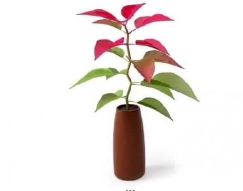 Ѫվ¸æ¼± ºþ´ó49ÃûѧÉú½ô¼±¼¯½áÏ×ѪÇÀ¾ÈÀϽÌÊÚ