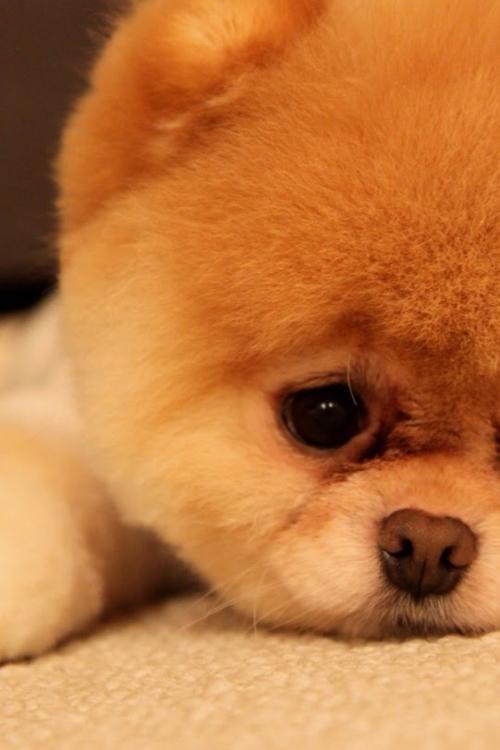 »¦Õã´òͨÊ×ÌõÊ¡½ç¡°¶Ïͷ·¡± ͨÇÚËõ¶Ìµ½3·ÖÖÓ