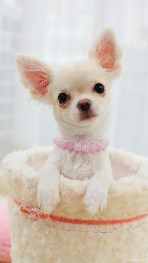 º£ÄÏÉú»îÀ¬»ø½øÈëÈ«·ÙÉÕʱ´ú ÈÕ´¦Àí¿É´ï11575¶Ö