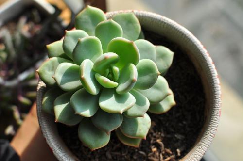 小心!伪招聘骗术升级链条变长 让人越陷越深