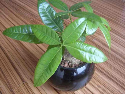 ¹Ø×¢Ð¾ÍÒµÐÎ̬£ºÖ°ÒµÑ¡Ôñ¸ü¶à ·¢Õ¹Ç°¾°¹ãÀ«