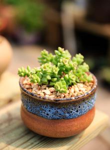 ÊÀÎÀ×éÖ¯£ºÈ«ÇòÀÛ¼ÆÐ¹ÚÈ·ÕﲡÀý´ï79673754Àý