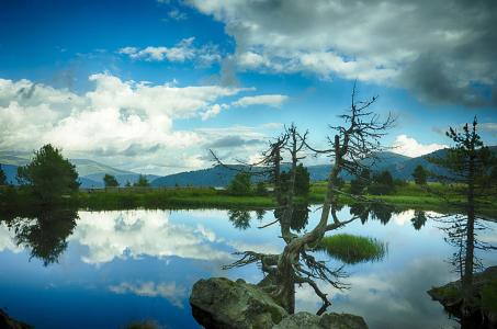 ¸ÖÇÙ¼Ò¸µ´ÏÒò¸ÐȾйڲ¡¶¾ÔÚÓ¢¹úÊÅÊÀ ÏíÄê86Ëê