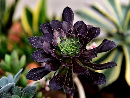 ·ç±©Ï®»÷·¨¹ú ÄÚ½×î¸ß·çËÙ³¬¹ýÿСʱ100¹«Àï